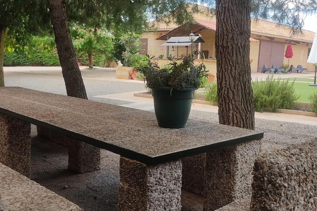 Finca El Pilar Madridejos Ngoại thất bức ảnh