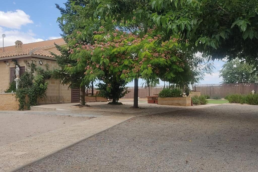 Finca El Pilar Madridejos Ngoại thất bức ảnh