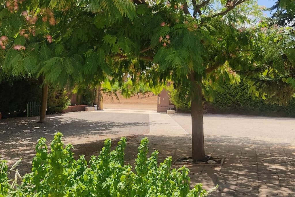 Finca El Pilar Madridejos Ngoại thất bức ảnh