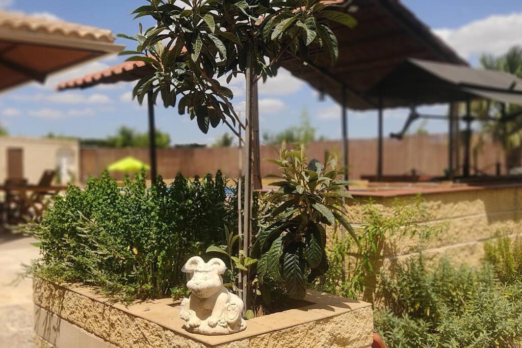 Finca El Pilar Madridejos Ngoại thất bức ảnh