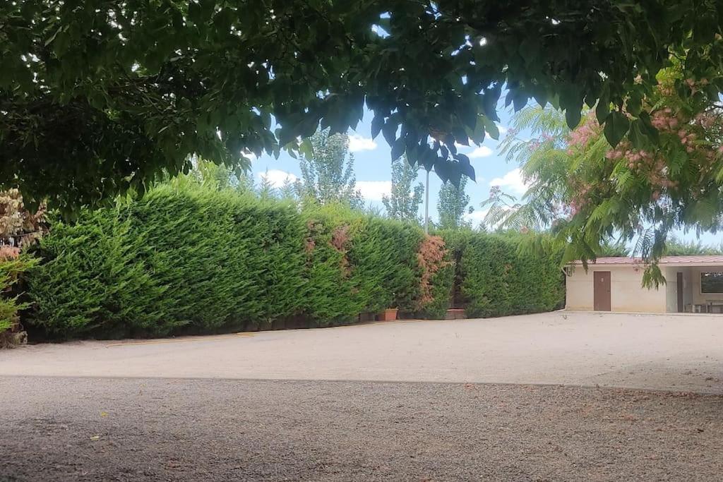 Finca El Pilar Madridejos Ngoại thất bức ảnh